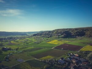 Junges Handwerk fördern und stärken